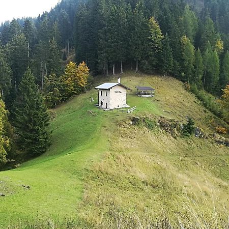 B&B Ai Pini Tiarno di Sopra Exterior foto