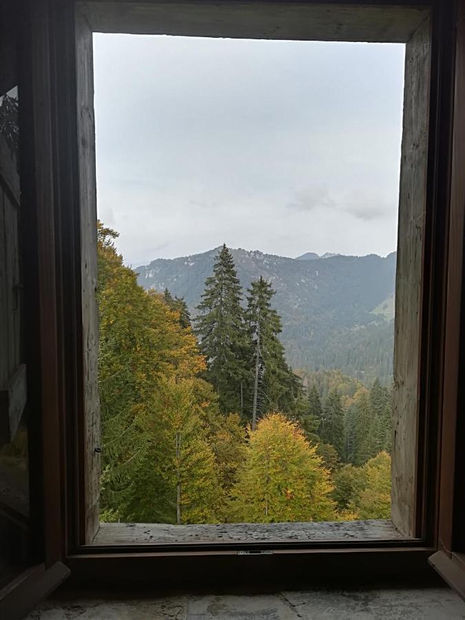 B&B Ai Pini Tiarno di Sopra Exterior foto